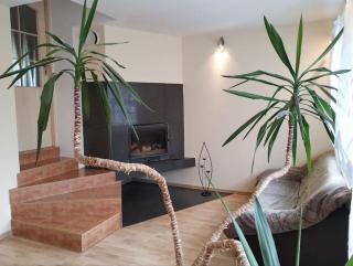 A Tranquil Oasis, Lakeview Home in Lapes Kaunas - Lapės - 4