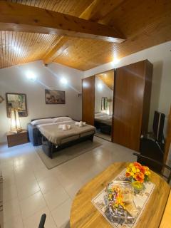 La Corte dei Torri loft on the lake - Oliveto Lario - 6