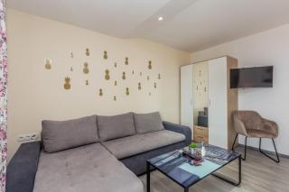 Apartmani Tena - 4