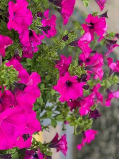 Grazioso monolocale - Mailand - 0