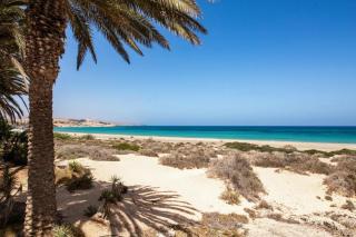 Apartments near the beach, with terrace and WIFI - Costa Calma - 9