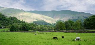 Panoramic Views & Spacious Living by LetMeStay - Grasmere - 6