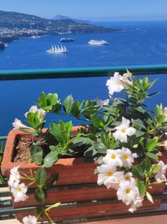 Giardino 21 Marzo - Vico Equense - 9