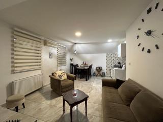 Apartman Gold LUX - Surčin - 8