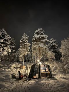 Aurora Hut Igloo by Invisible Forest Lodge & Spa - 3