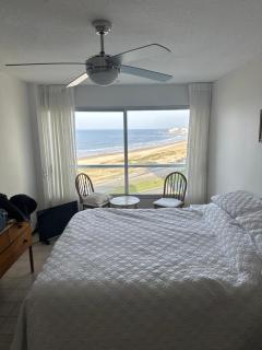 Estrella de Mar - Punta del Este - 4