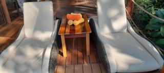 Villas Corcovado-AC-Jacuzzi-Pool-Great Views-Nature-Relaxing - Puerto Jiménez - 3