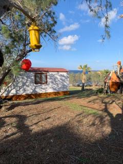 Tiny House Lyrides by the cretan sea - Áyios Andónios - 8