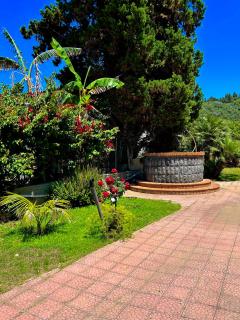 B&B Villa Rodriguez - Milazzo - 4