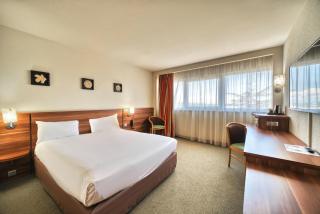 Kyriad Prestige Mulhouse - Basel - Sausheim - 9