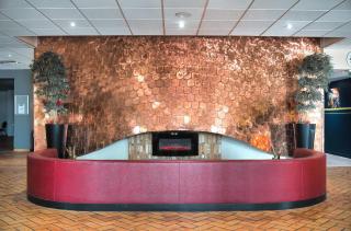 Kyriad Prestige Mulhouse - Basel - Sausheim - 8