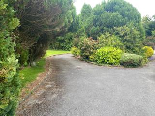 Palm Grove B&B - Cashel - 1