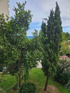 Apartman Lila - Igalo - 8