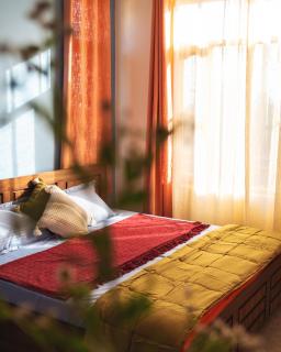 TribalTerrace - stay near tea garden - Chauntrā - 5