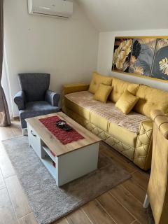 Apartman Tina - Soko Banja - 2