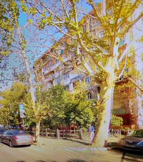 Green Home - 8