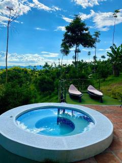 Botánikal Hotel - 5