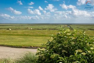 Haus Seepferdchen 238 - Ferienhaus Watt - 5