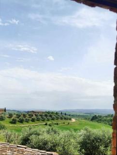 PodereVicoBasso - Siena - 6