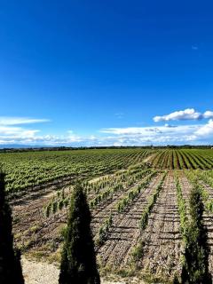 Maison au coeur des vignes - 5