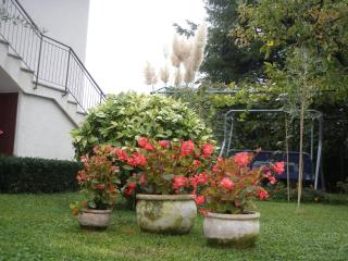 Apartments Katja - 8