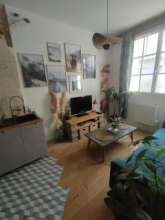 Appartement Cosy et de charme Tours centre - Tours - 8