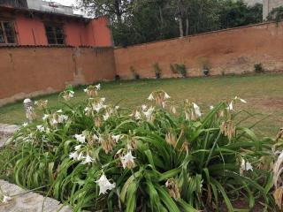 Hotel Tierra Maya - 9