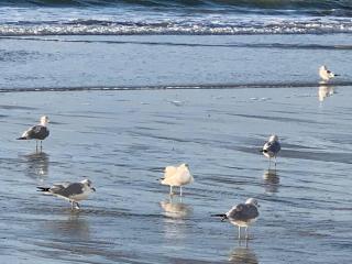 Paradise at the Beach, Complete View of Horizon - 5