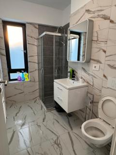 Iulius Mall apartament - Timişoara - 5
