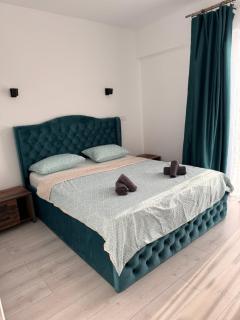 Iulius Mall apartament - Timişoara - 8