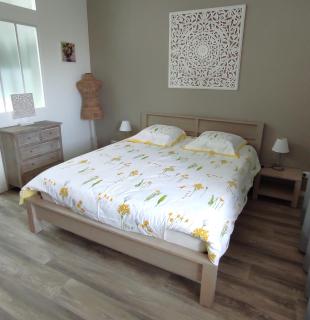 Gîte 4 pers L'Ainstant Présent - Ambérieux-en-Dombes - 9