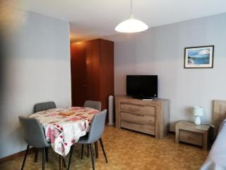 Résidence Le Chateau Durieux 3 - Agréable et spacieux logement pour 2 personnes ! MAE-7404 - Aix-les-Bains - 8