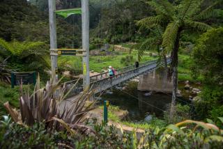 Pedlars Motel - Paeroa - 1