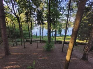 Domki nad Dadajem - Leśny Zakątek "Cypisek" - Biskupiec - 7