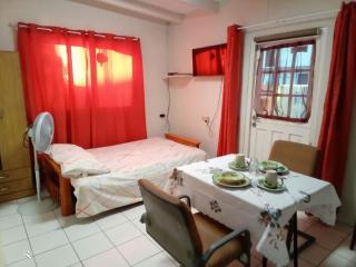 STUDIO/ APARTAMENTO - Julianadorp - 9