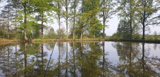 Kojan - Jílovice - 9