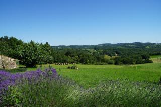 Domaine De La Licorne - La Chapelle-Aubareil - 1