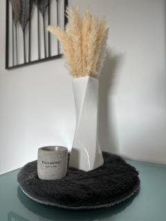 HARMONY "2" stylishes 2 Zimmer Apartment 1 OG Balkon Garten Parkplatz - 4