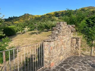 Casa di campagna nel Parco del Pollino - Teana - 6
