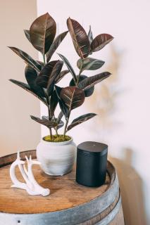 Tremblant Prestige - Verbier 8-202 - 2