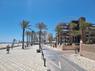 Atico Febus - Alicante - 0