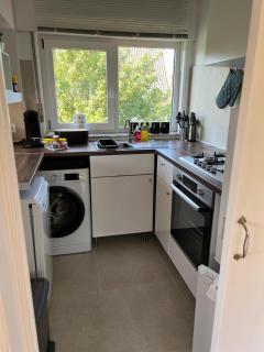 Wohnung erstes OG - lichtdurchflutet und modern - 1