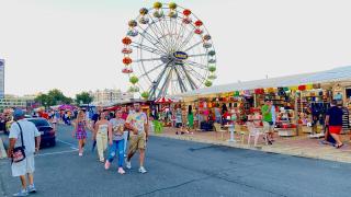 Bratanov Bahami Residence Studio - 9