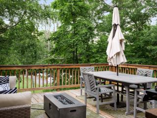 Shenandoah dog friendly cabin with river access, hot tub, fire pit, BBQ, outdoor dining - Shenandoah - 6