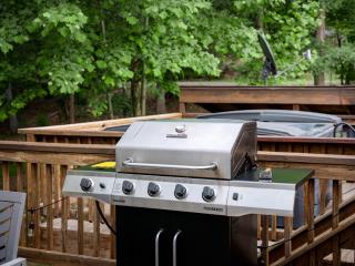 Shenandoah dog friendly cabin with river access, hot tub, fire pit, BBQ, outdoor dining - Shenandoah - 5