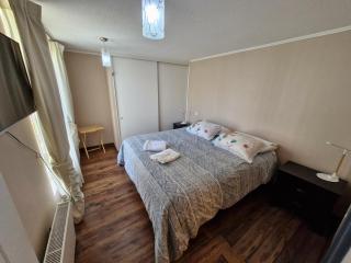 Departamento FAMILIAR CON ESTACIONAMIENTO INCLUIDO - Valdivia - 1