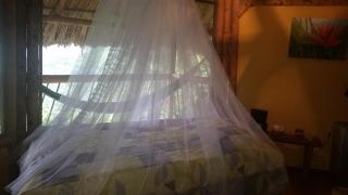 Minca Ecohabs Hotel - Minca - 5