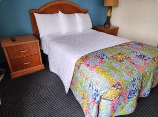 Chandler Inn - Chandler - 4