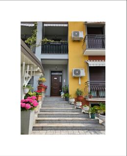 The Dreamers MXP - 6