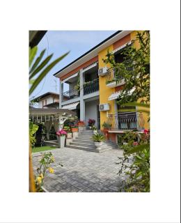 The Dreamers MXP - 7